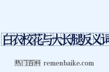 白衣校花与大长腿反义词是什么意思的图片